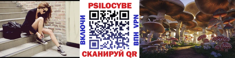 цена наркотик  ОМГ ОМГ сайт  Галлюциногенные грибы мухоморы  Высоцк 